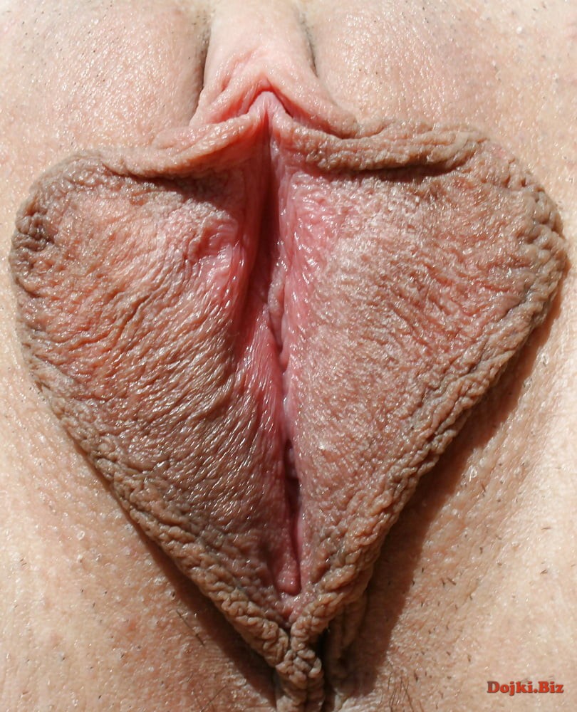 Большие половые губы 343